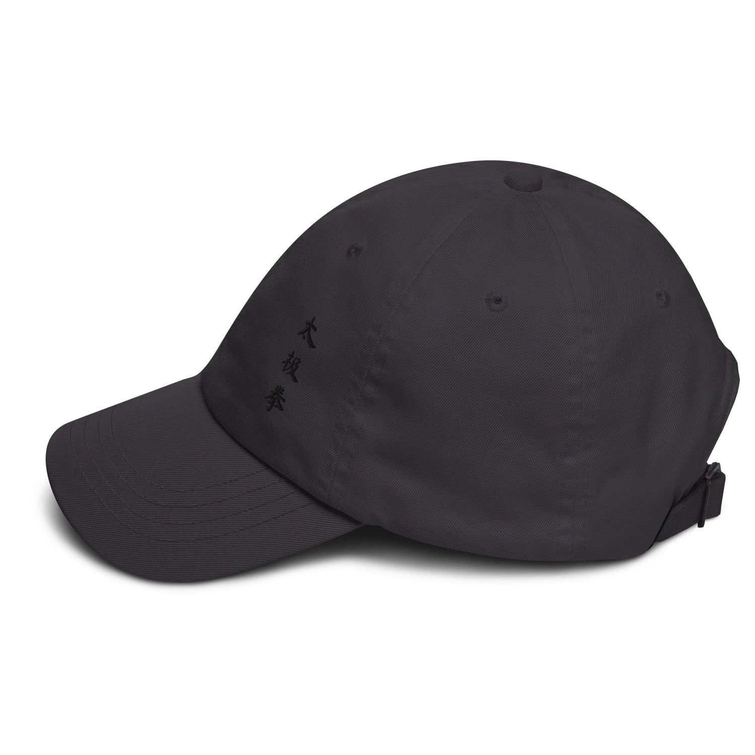 Tai Chi Chuan Cosmic Duality Dad Hat by Kaizen Athletic