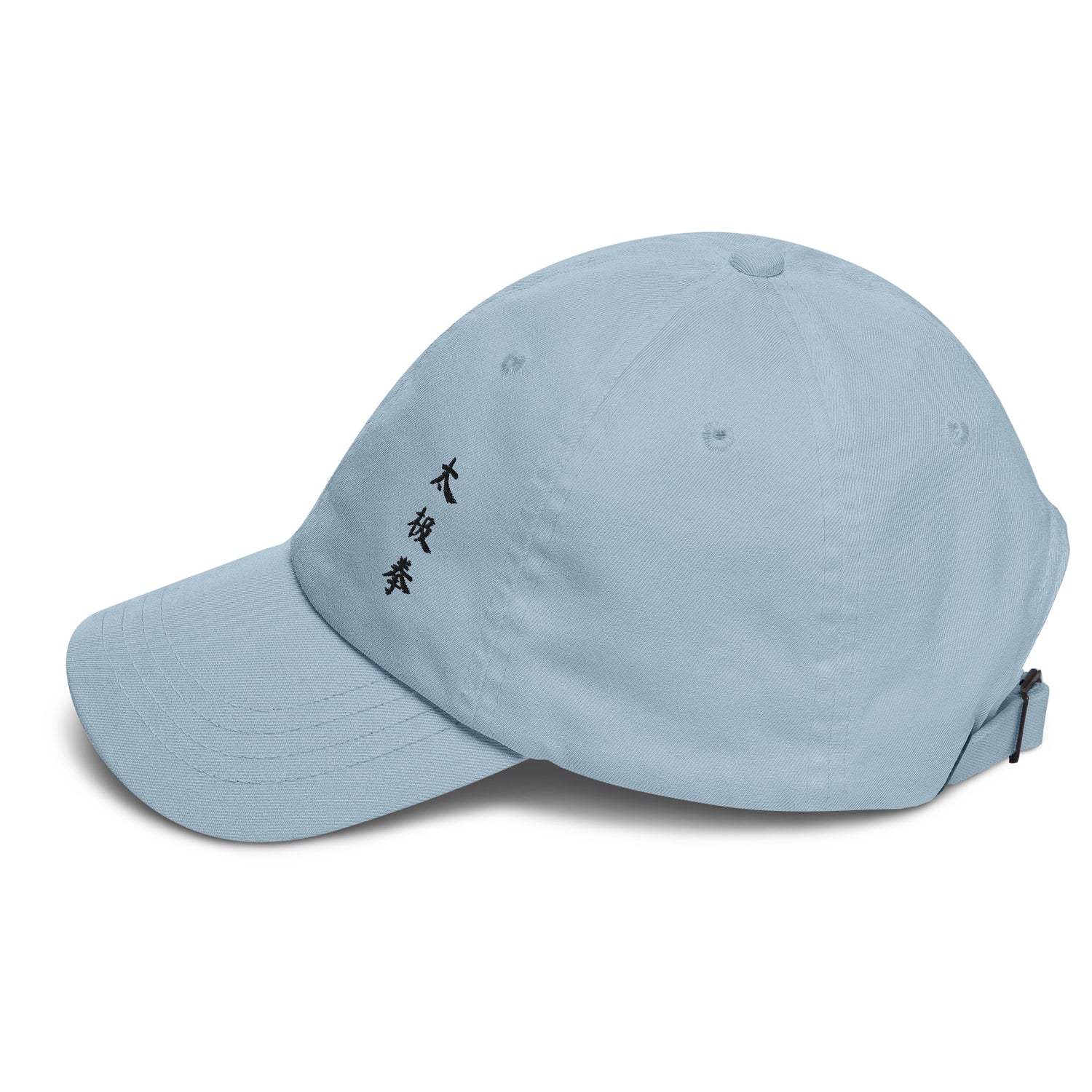 Tai Chi Chuan Cosmic Duality Dad Hat by Kaizen Athletic