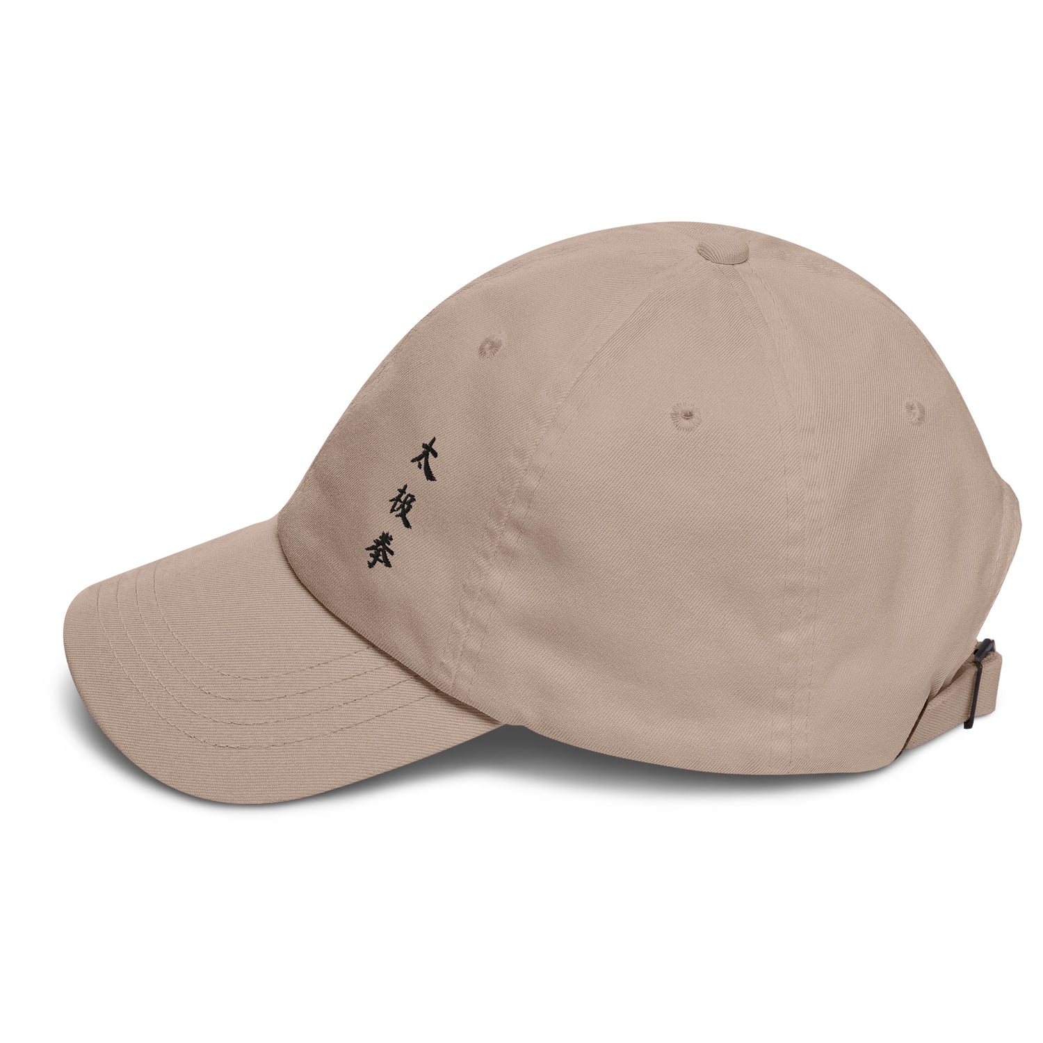 Tai Chi Chuan Cosmic Duality Dad Hat by Kaizen Athletic