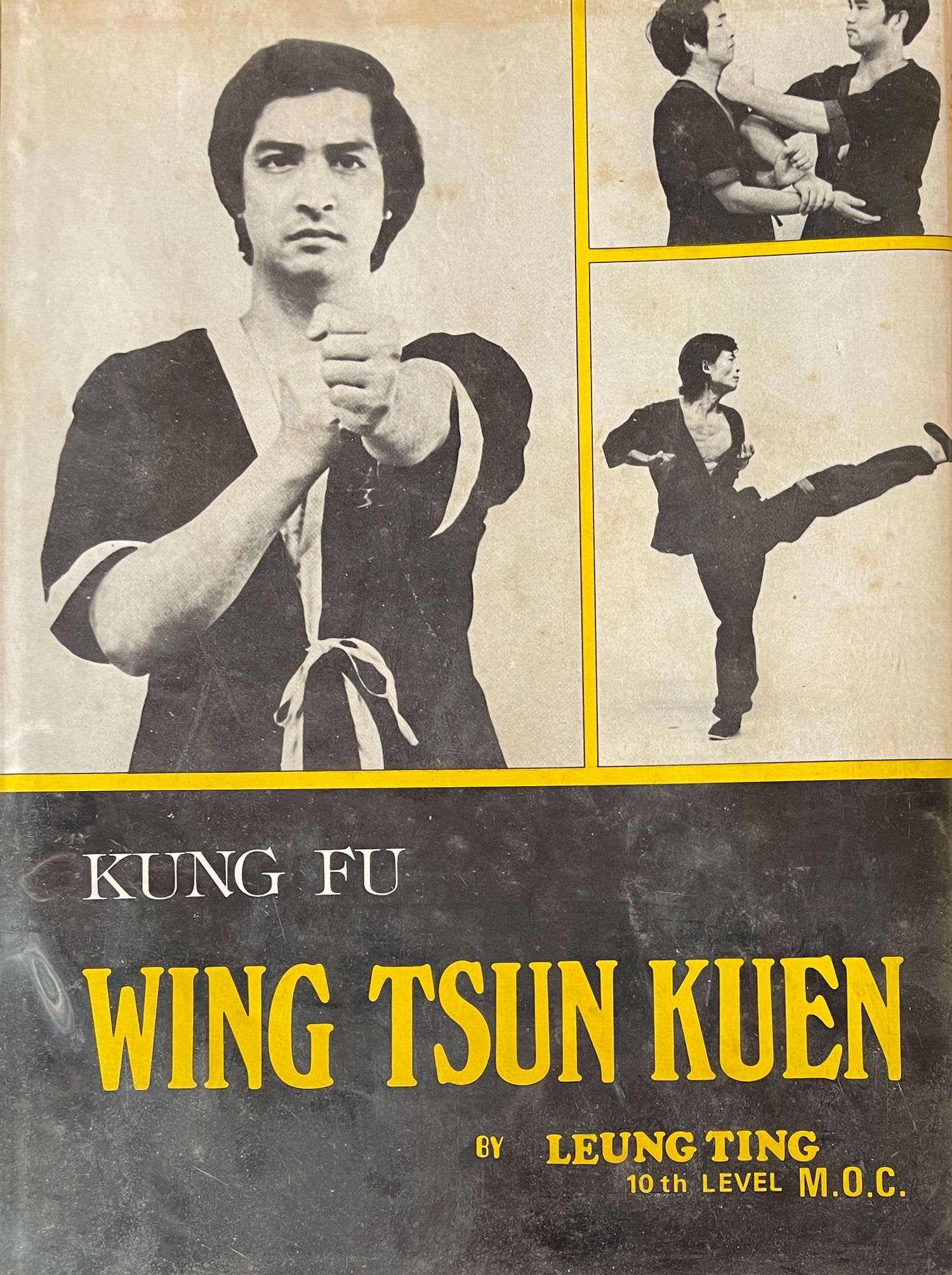 Libro Kung Fu Wing Tsun Kuen de Leung Ting (tapa dura) (usado)