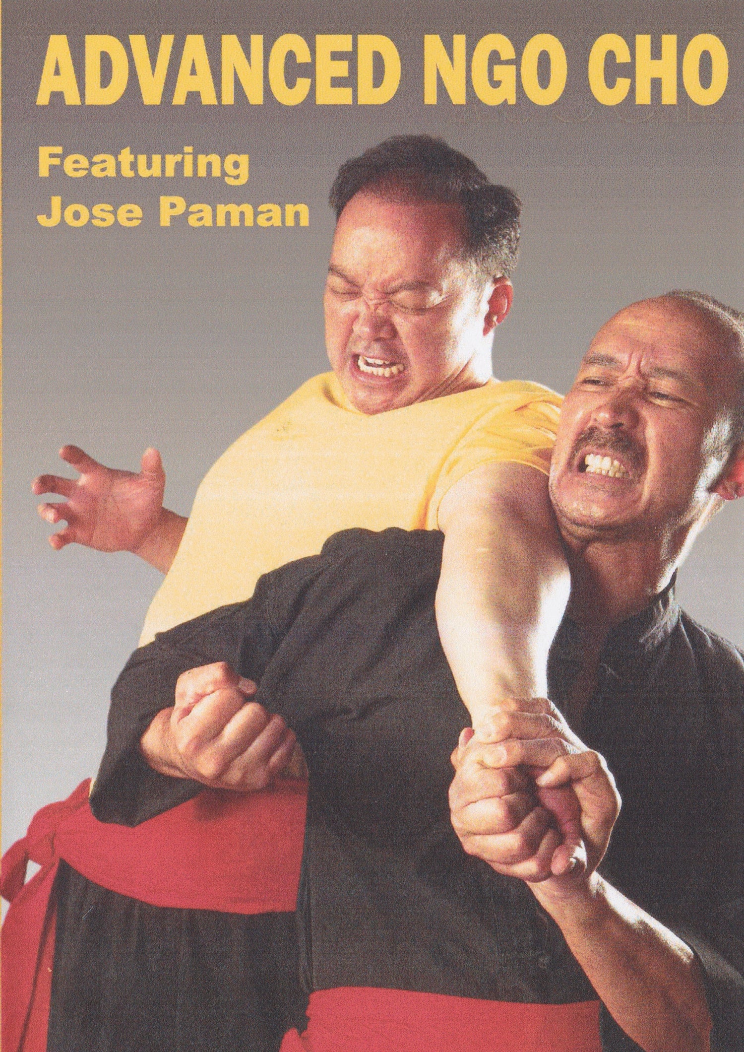 DVD avanzado de Ngo Cho con José Paman