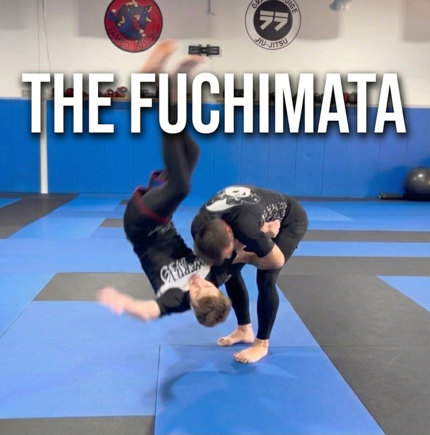 The Fuchimata False Uchimata by Vladislav Koulikov (On Demand)