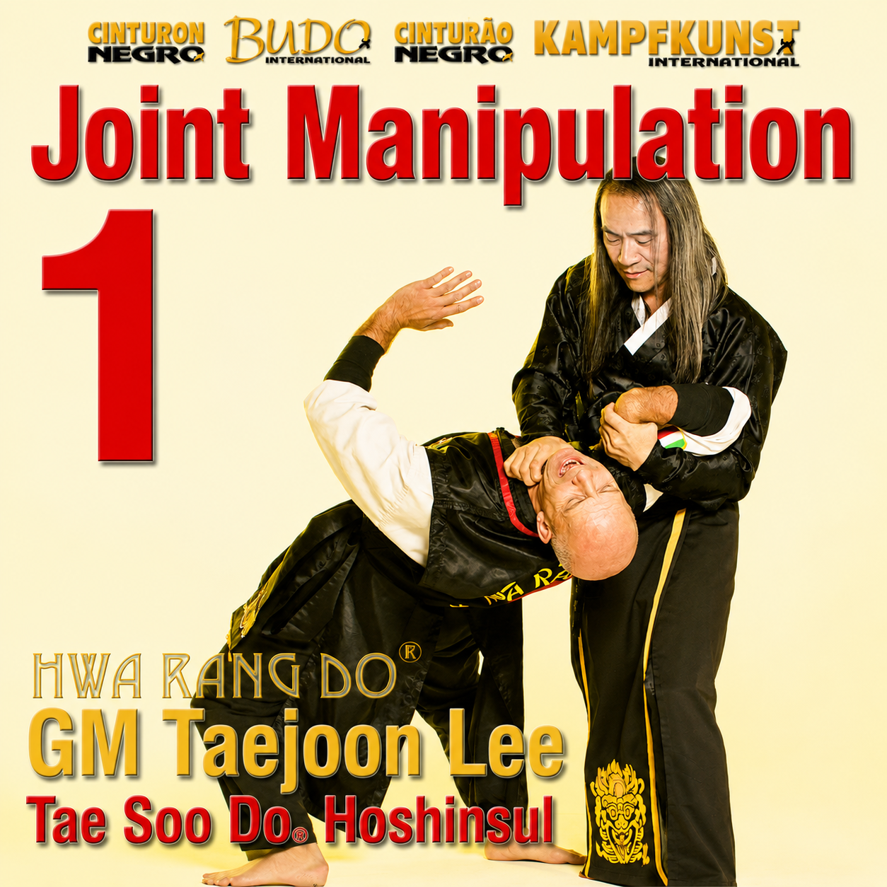 Hwa Rang Do Hoshinsul Vol 1 Joint Manipulation by Taejoon Lee (On Demand)