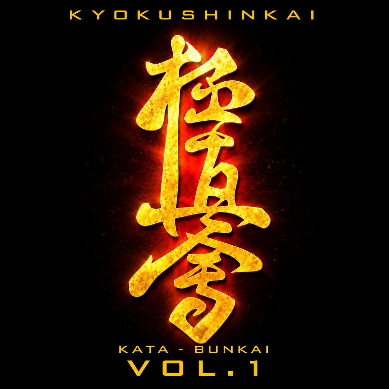 Kyokushinkai Karate Kata & Bunkai Vol 1 (On Demand)