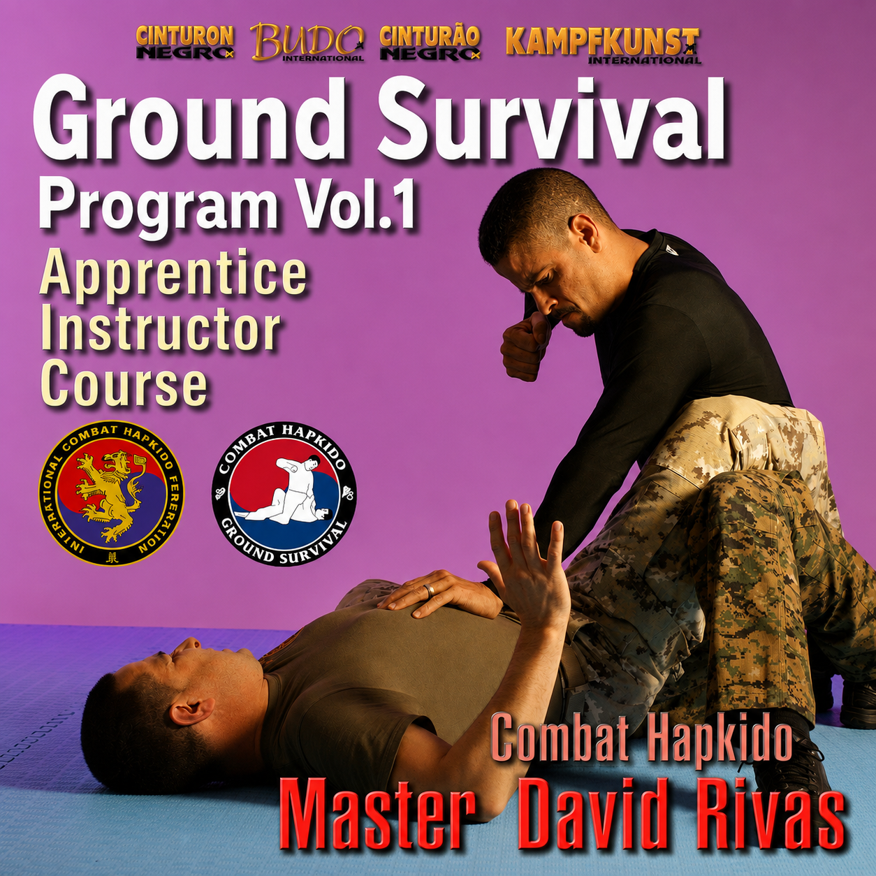 Combat Hapkido Ground Survival Prog V1 David Rivas (On Demand)