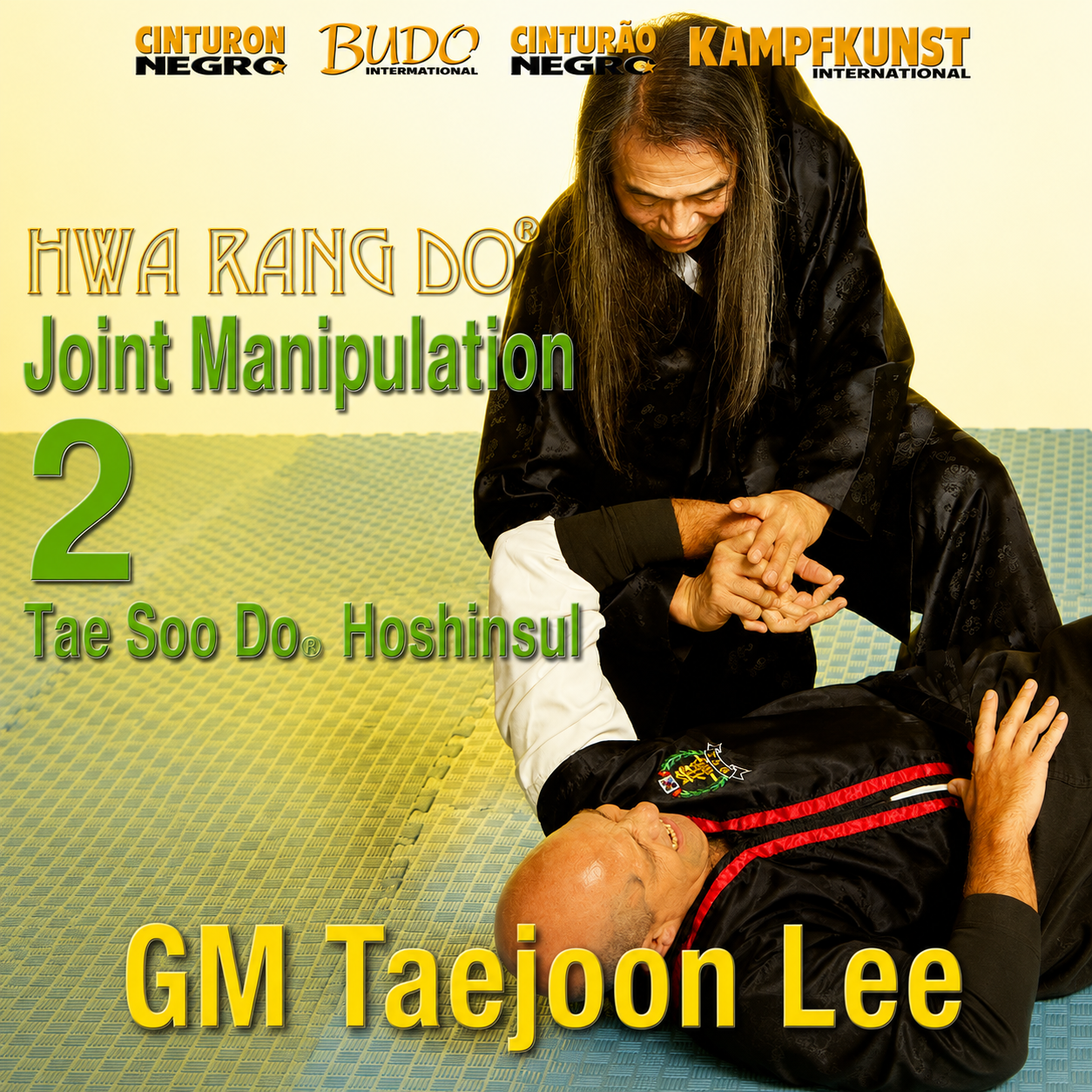 Hwa Rang Do Hoshinsul Vol. 2 Joint Manipulation by Taejoon Lee (On Demand)