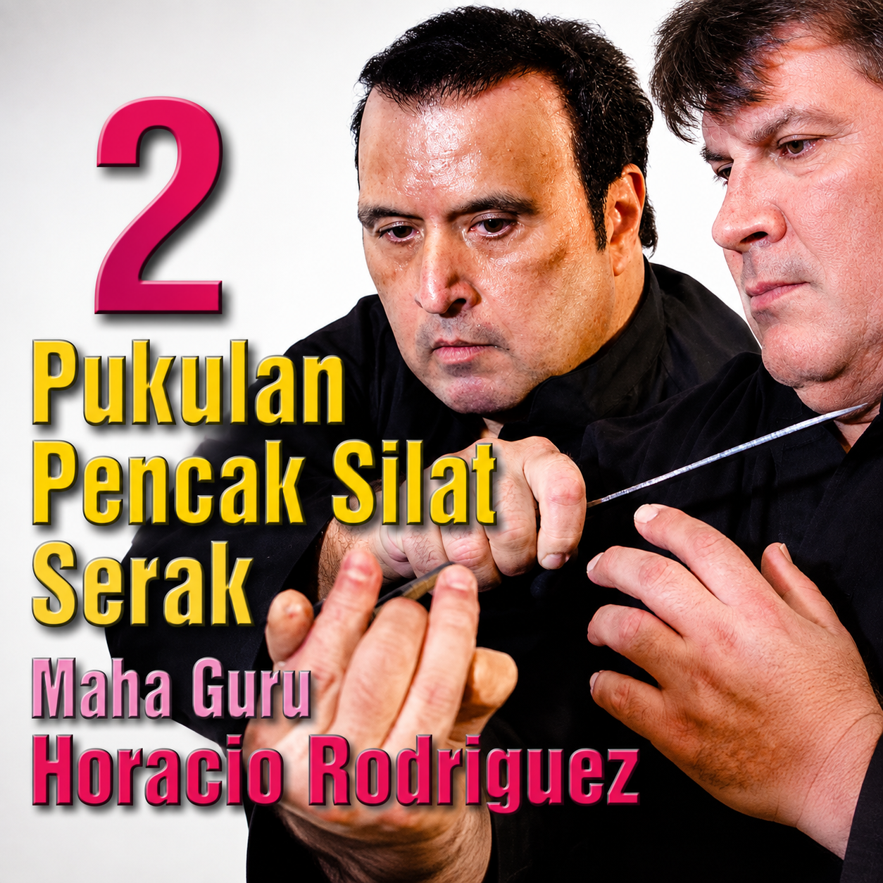 Pukulan Pencak Silat Serak Vol 2 (On Demand)
