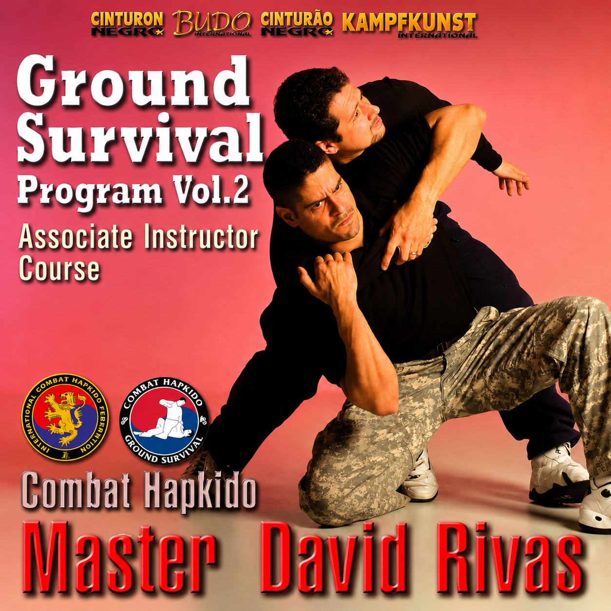 Combat Hapkido Ground Survival Prog V2 David Rivas (On Demand)