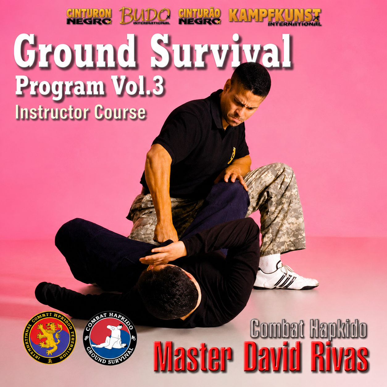 Combat Hapkido Ground Survival Prog V3 David Rivas (On Demand)