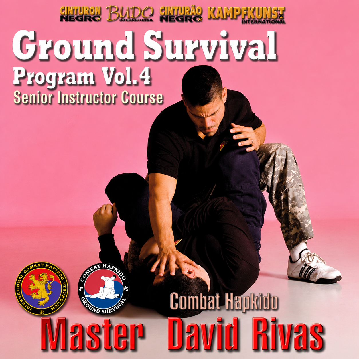 Combat Hapkido Ground Survival Prog V4 David Rivas (On Demand)
