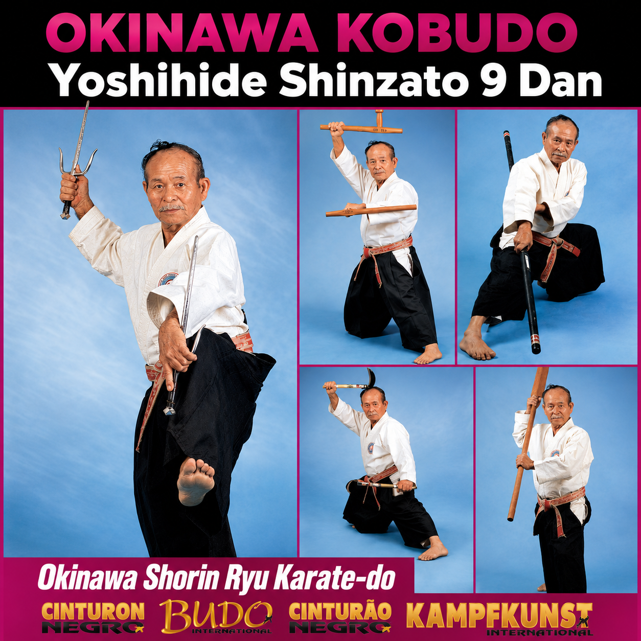 Okinawa Kobudo Shorin Ryu Karate-do de Yoshihide Shinzato (bajo demanda)