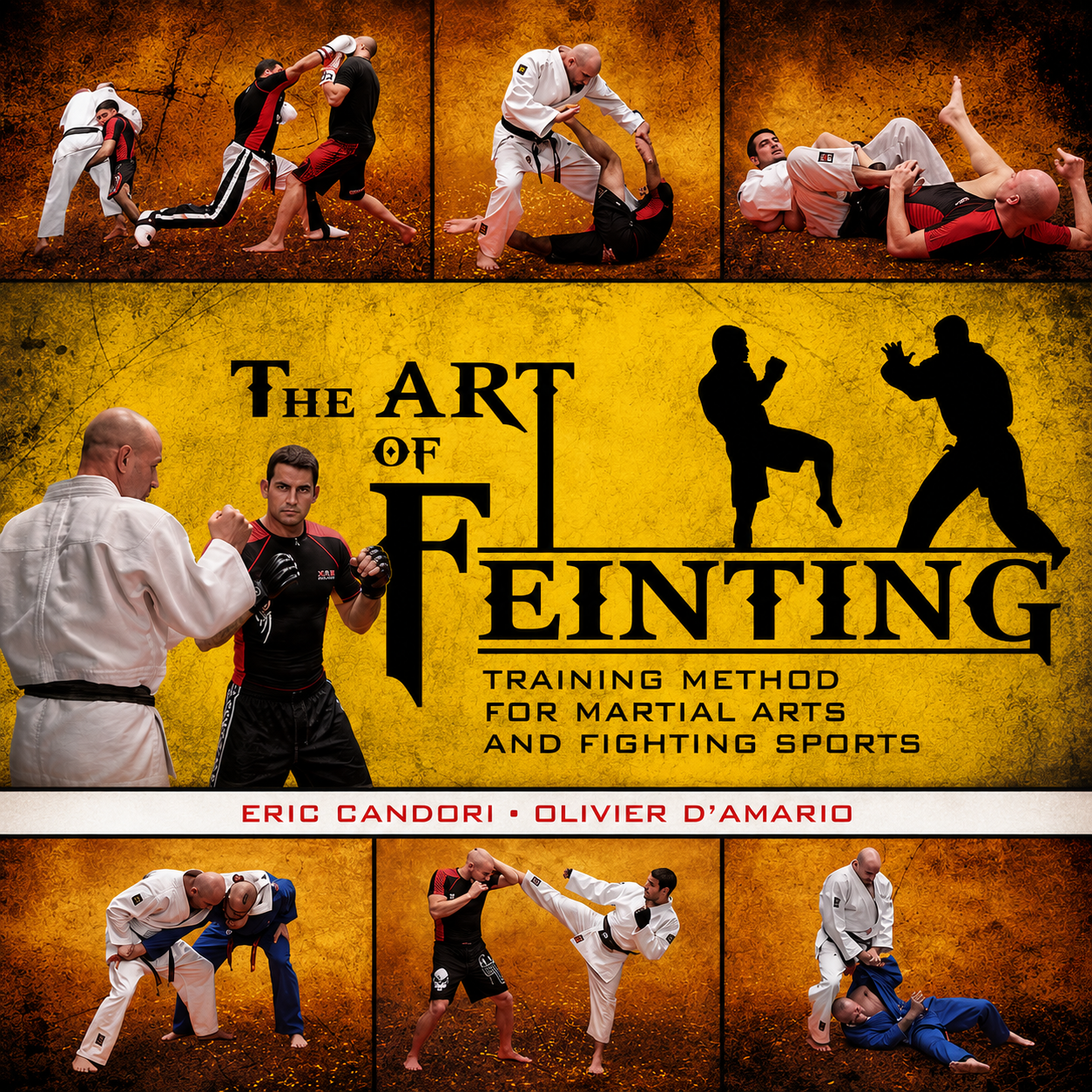 The Art of Feinting: Martial Arts Training Method (On Demand)