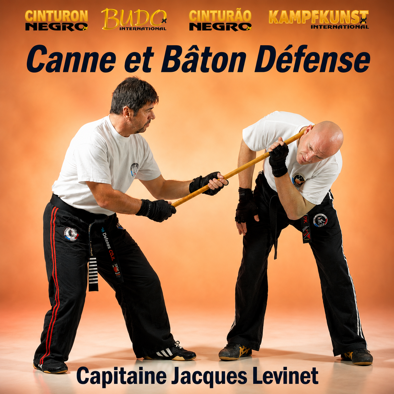 The Cane & Stick Defense by Jacques Levinet (On Demand)
