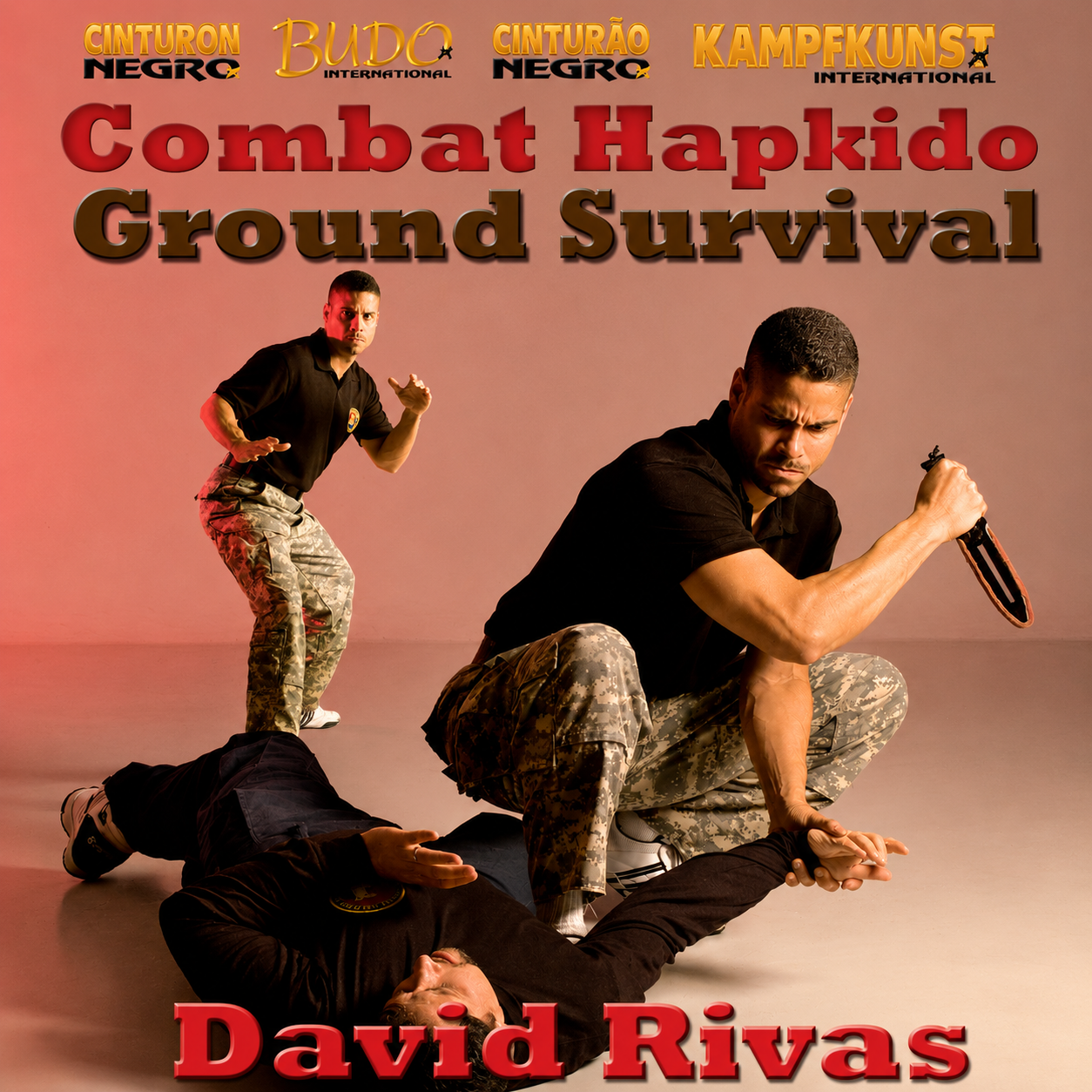 Combat Hapkido Ground Survival by David Rivas (On Demand)