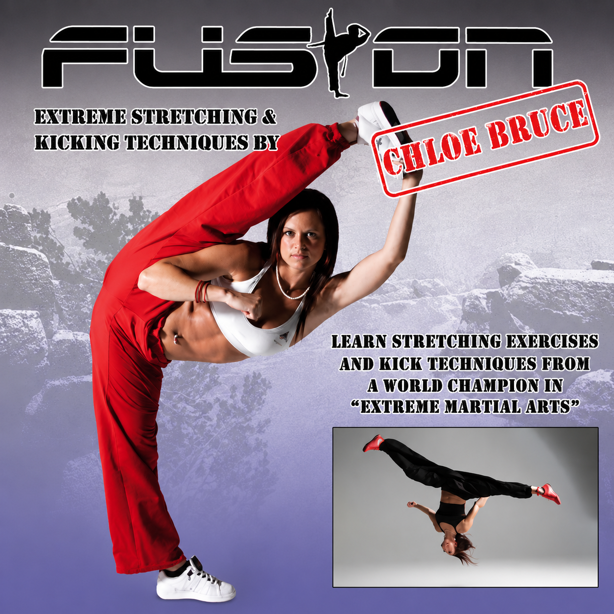 Extreme Stretching & Kicking Techniques (On Demand)
