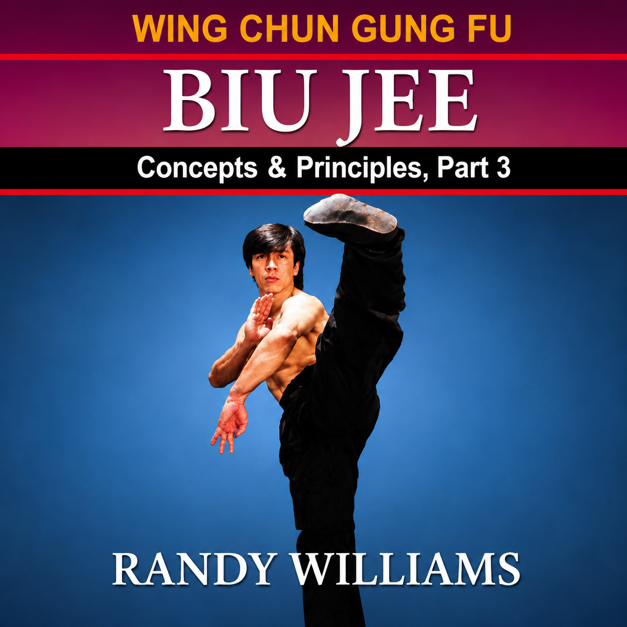 Wing Chun Biu Jee Concepts 3 by Randy Williams (On Demand)