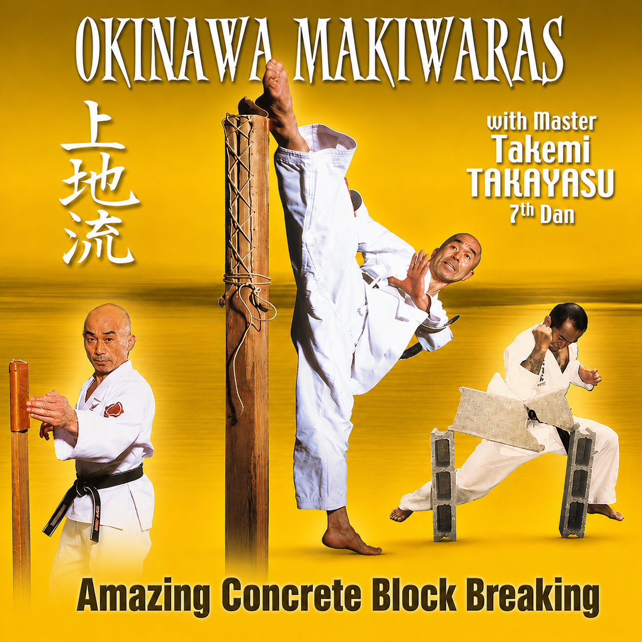 Okinawa Makiwara by Takemi Takayasu (On Demand)