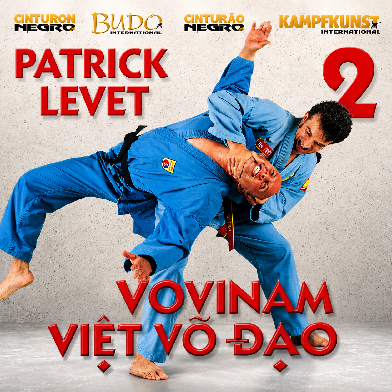 Vovinam Viet Vo Dao Vol 2 with Patrick Levet (On Demand)