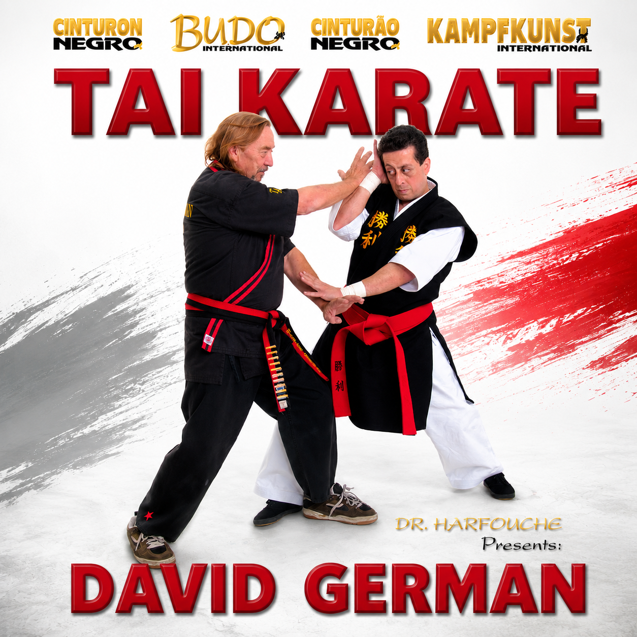 The Tai Karate Way de David German (bajo demanda)