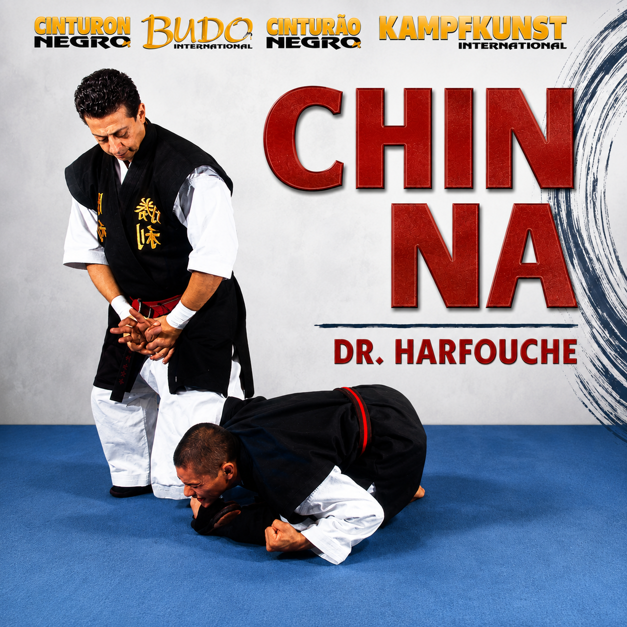 Chin Na with Christian Harfouche (On Demand)