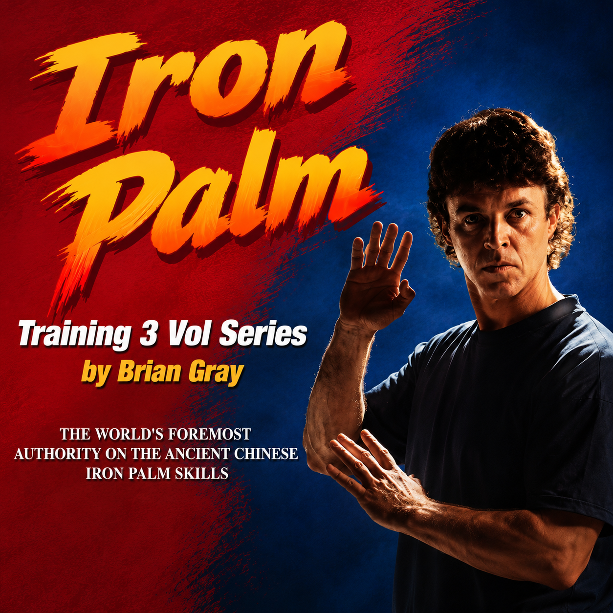 Iron Palm Training 3 Vol Series by Brian Gray (On Demand)