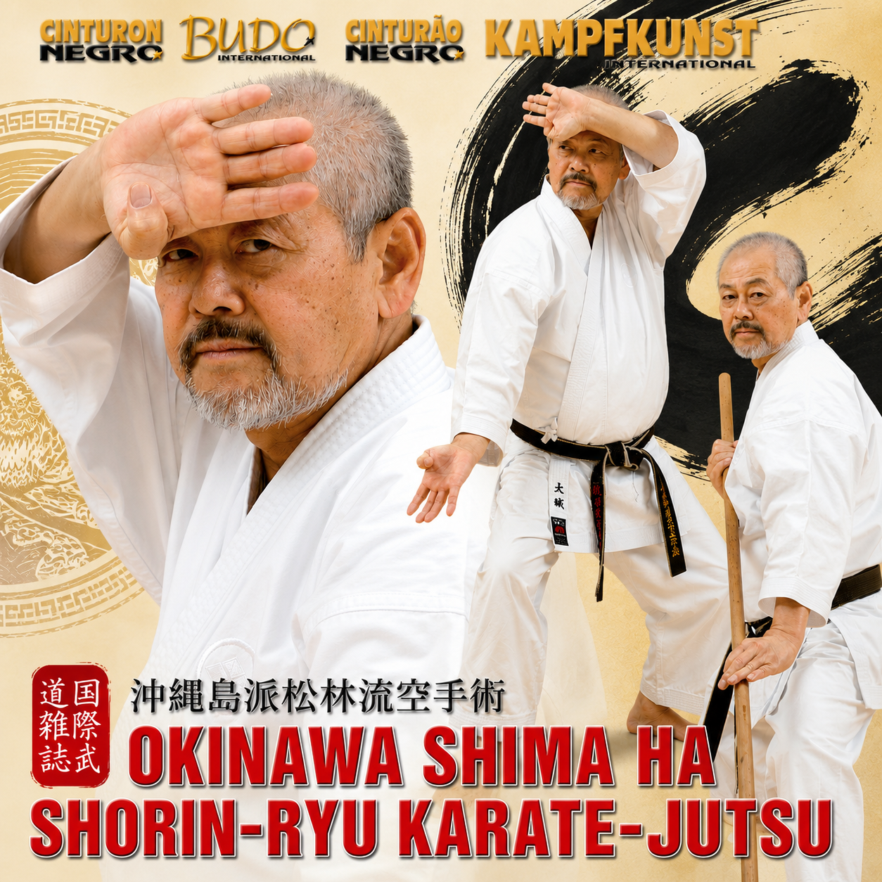 Okinawa Shima Ha Shorin-Ryu Karate-Jutsu de Toshihiro Oshiro (bajo demanda)
