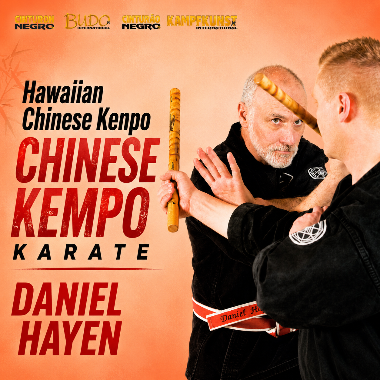Chinese Kempo Karate by Daniel Hayen (On Demand)
