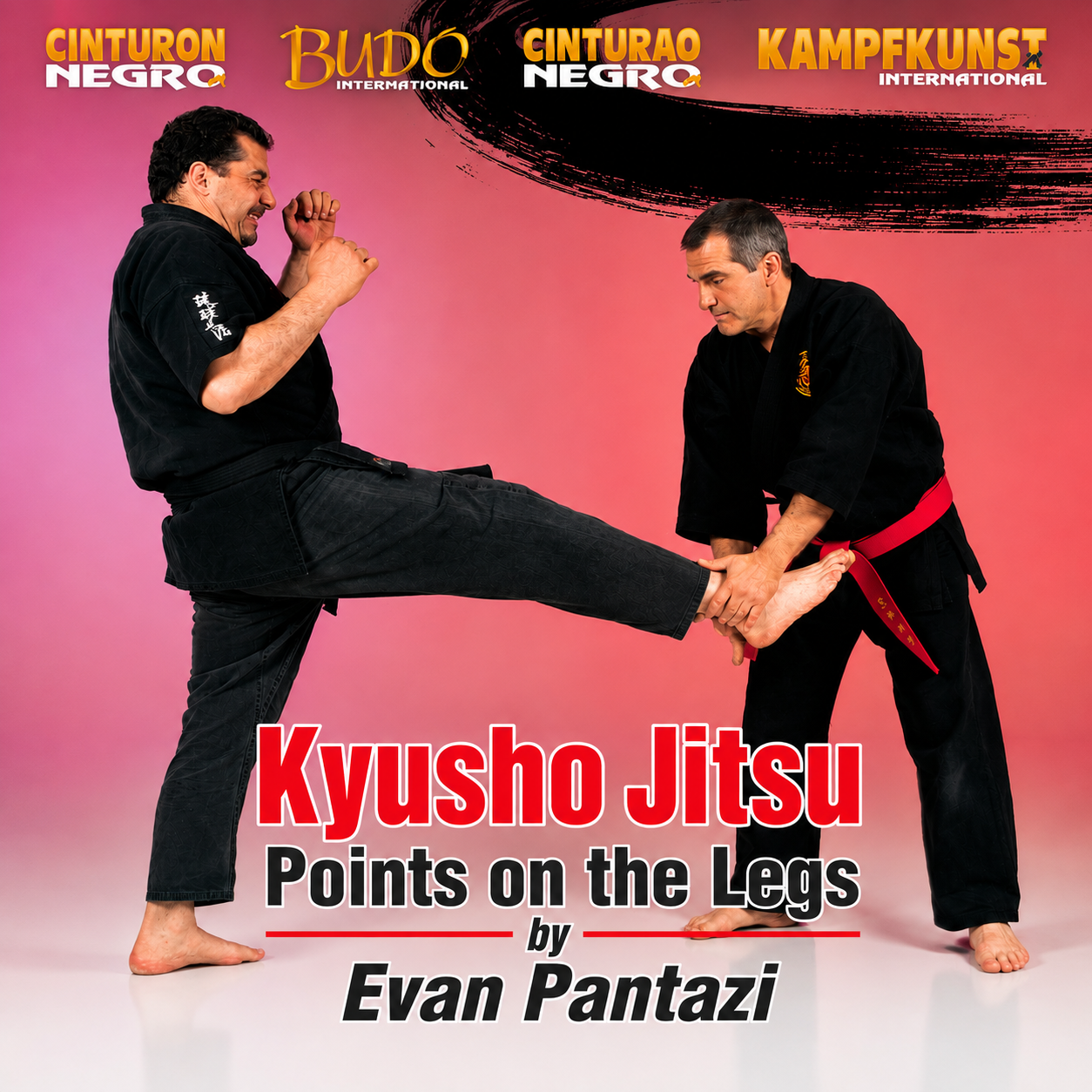 Kyusho Jitsu Points on the Legs by Evan Pantazi (On Demand)