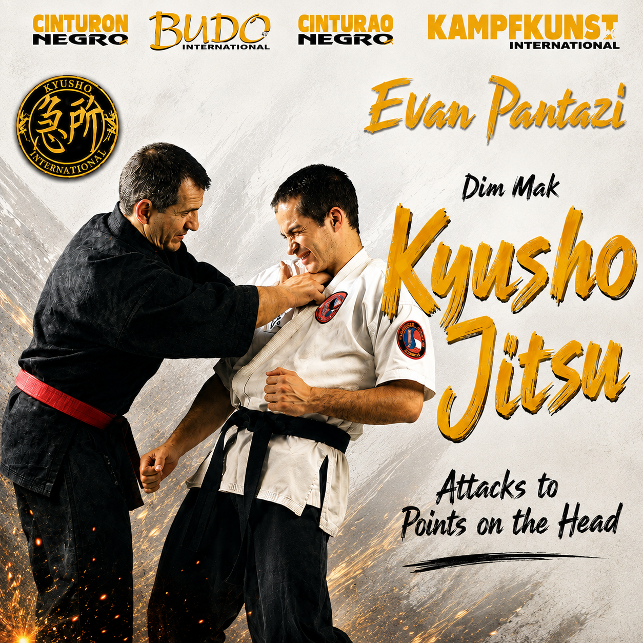 Kyusho Jitsu Points on the Head by Evan Pantazi (On Demand)