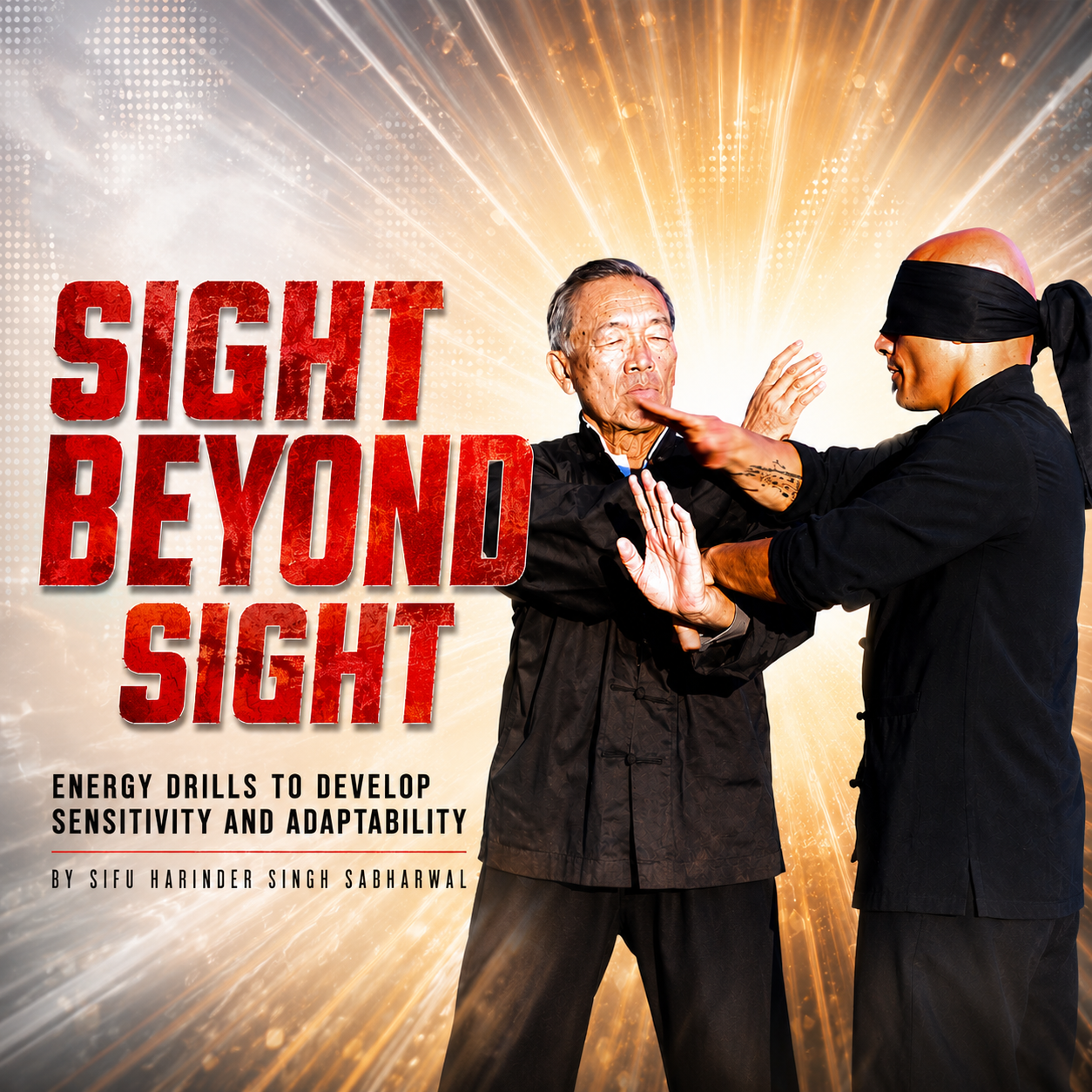Sight Beyond Sight Energy Drill Harinder Sabharwal (On Demand)