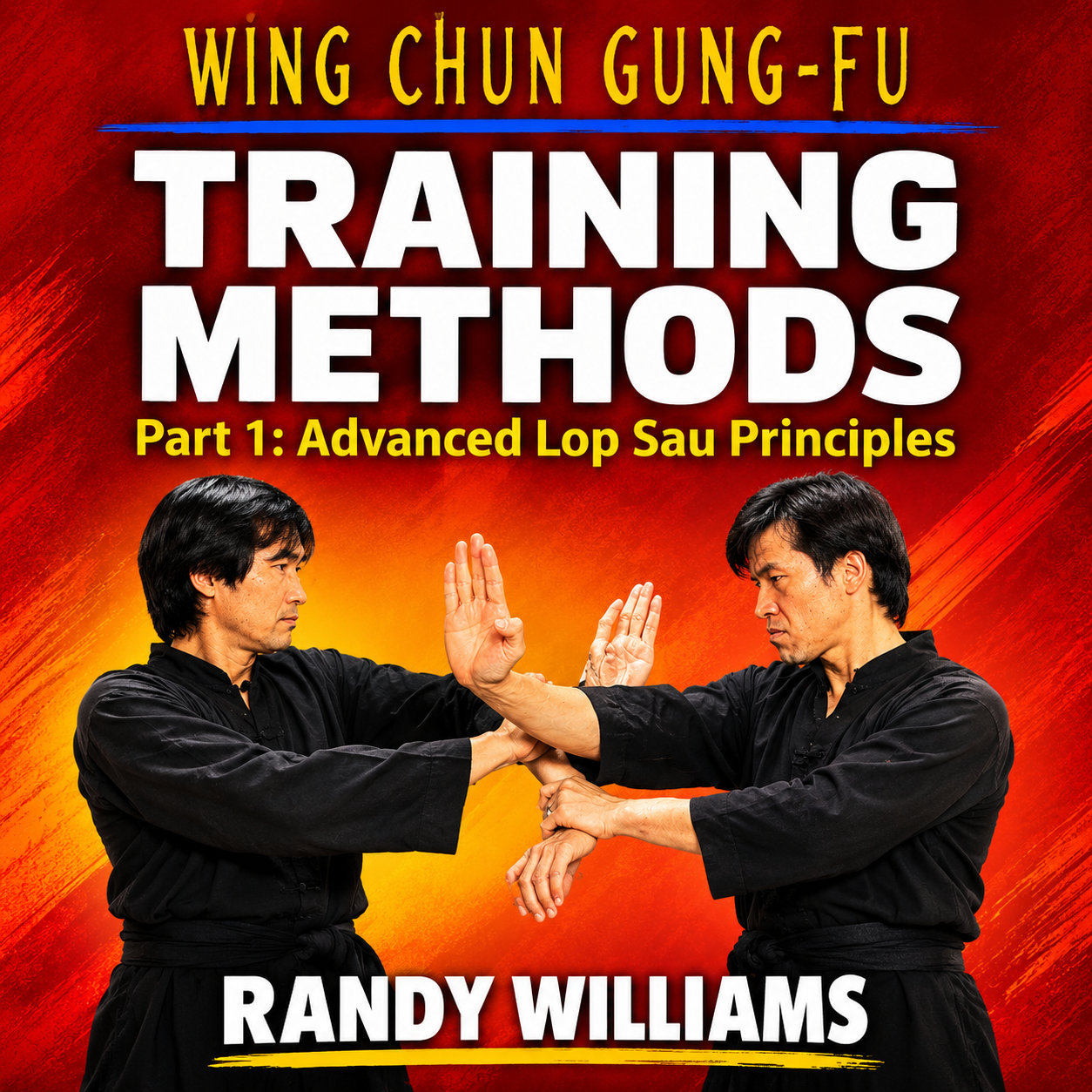 Wing Chun Training 1 Adv Lop Sau by Randy Williams (On Demand)