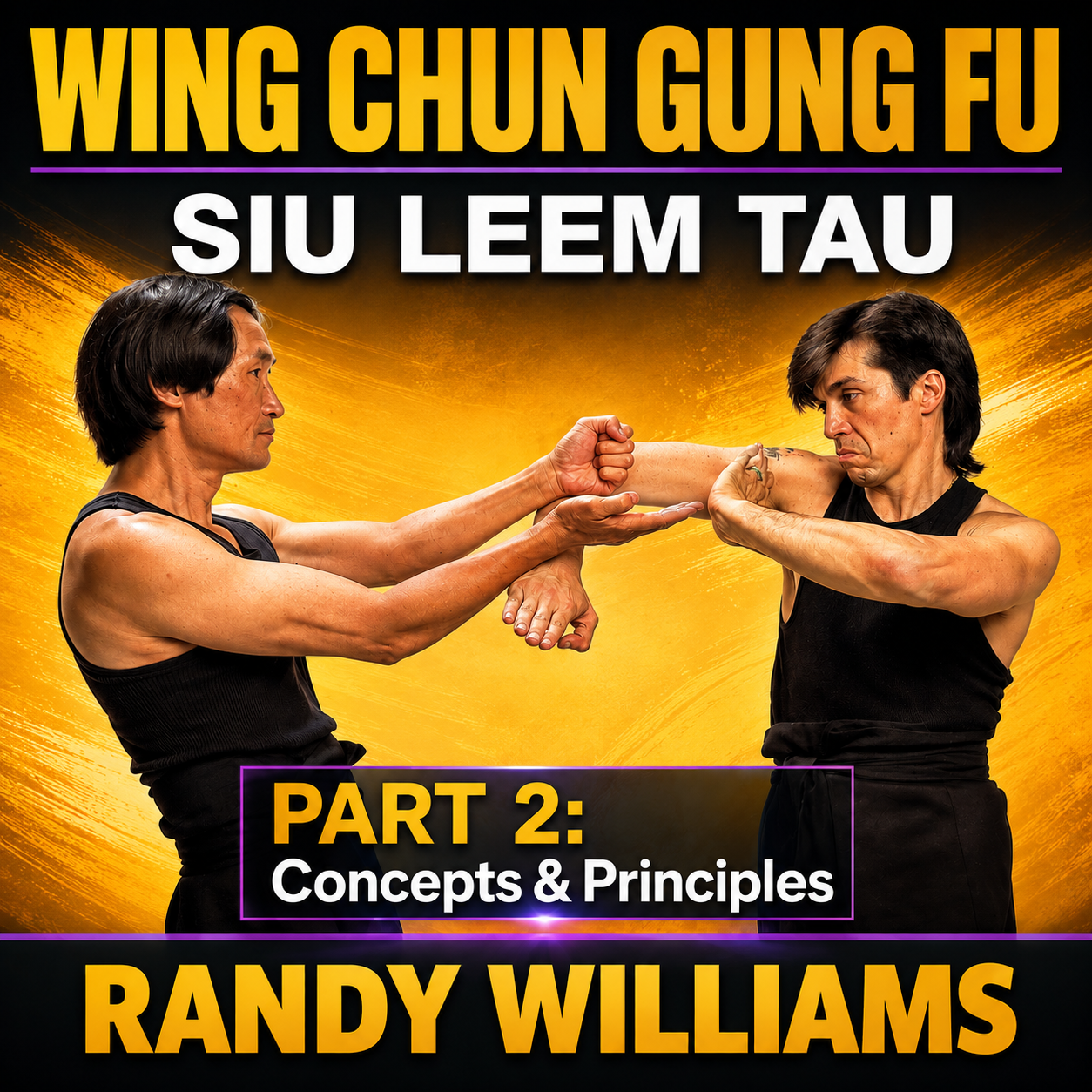 Wing Chun Siu Leem Tau Concept 2 by Randy Williams (On Demand)