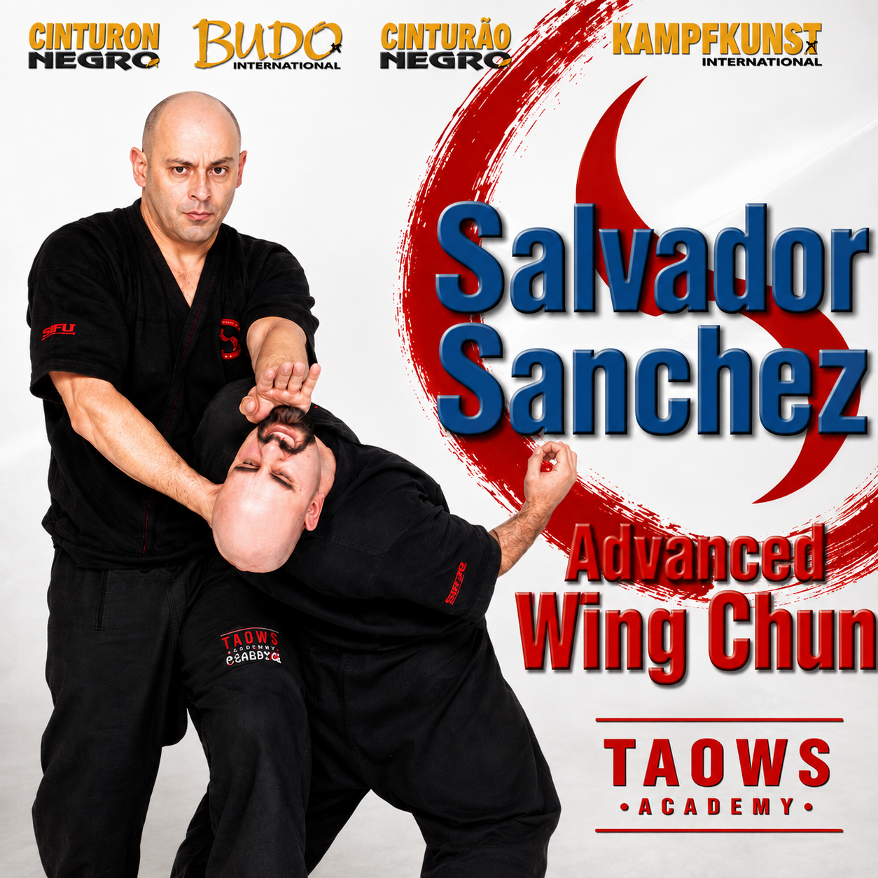 Wing Tsun Advanced TAOWS Academy by Salvador Sanchez (On Demand)