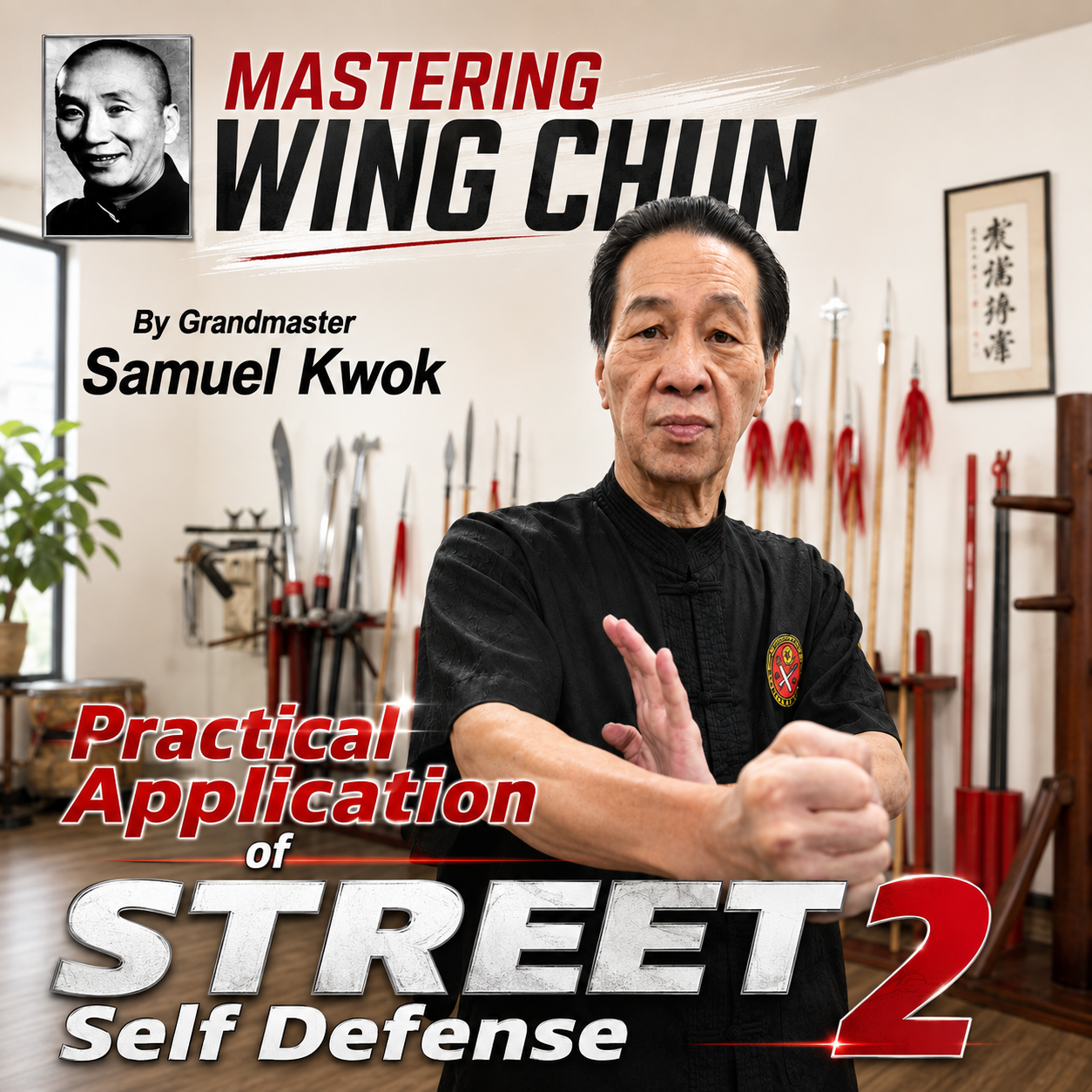 Wing Chun Street Self Defense 2 Samuel Kwok (On Demand)