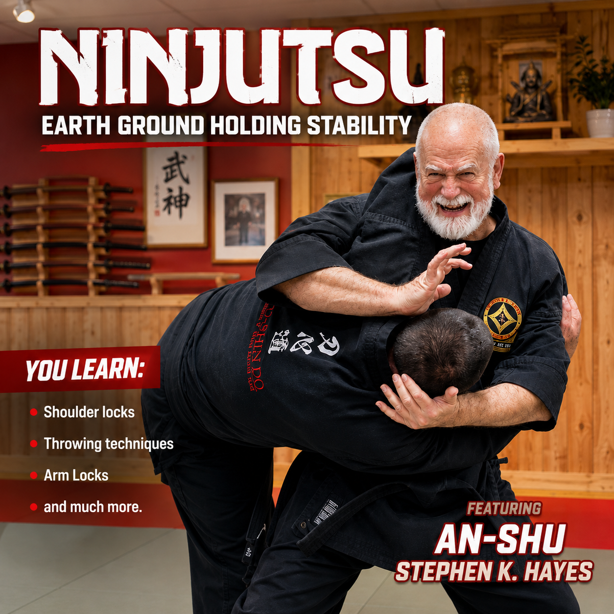 Ninjutsu Secrets 6 Earth Stability Stephen Hayes (On Demand)