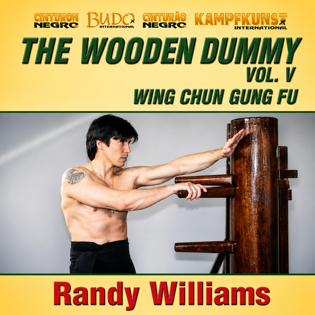 Wing Chun Wooden Dummy Form Part 5 Basic Drills (On Demand)