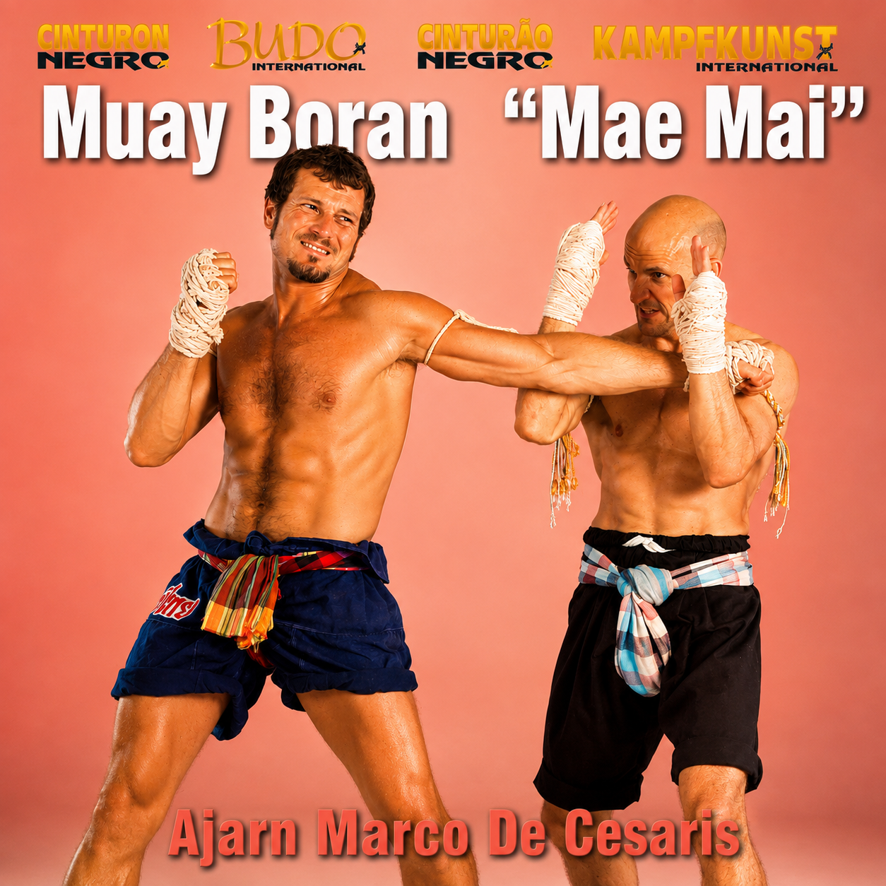 Muay Boran Mae Mai Vol 1 with Marco de Cesaris (On Demand)