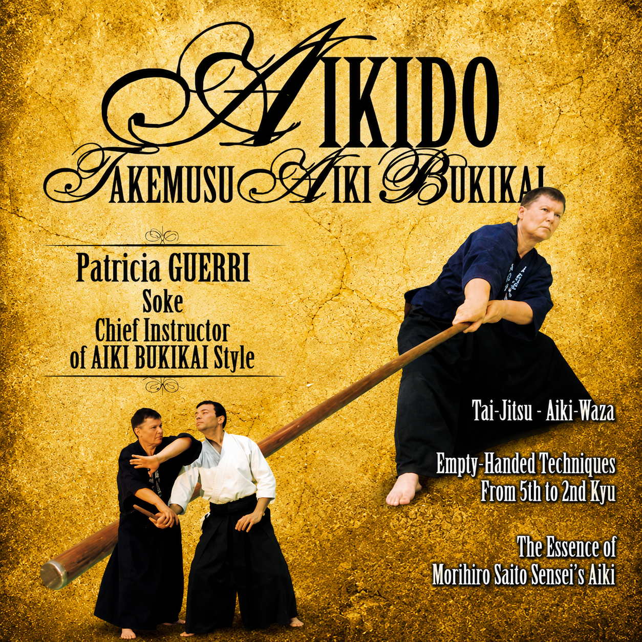 Aikido Takemusu Aiki Bukikai 1 by Patricia Guerri (On Demand)