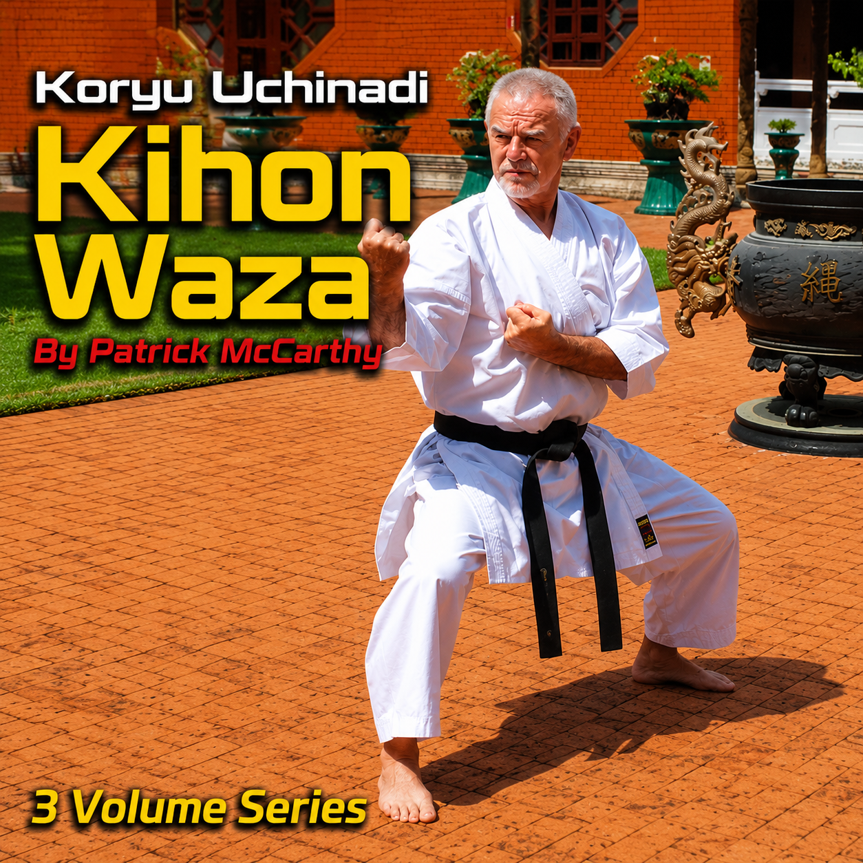 Koryu Uchinadi 2 Kihon-waza by Patrick McCarthy (On Demand)