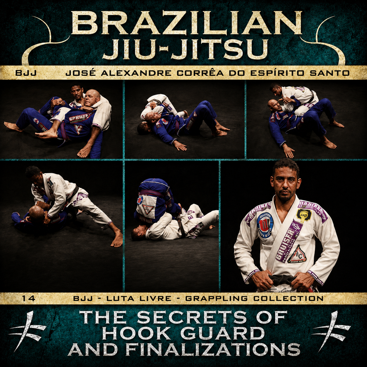BJJ Butterfly Guard & Submissions (On Demand)