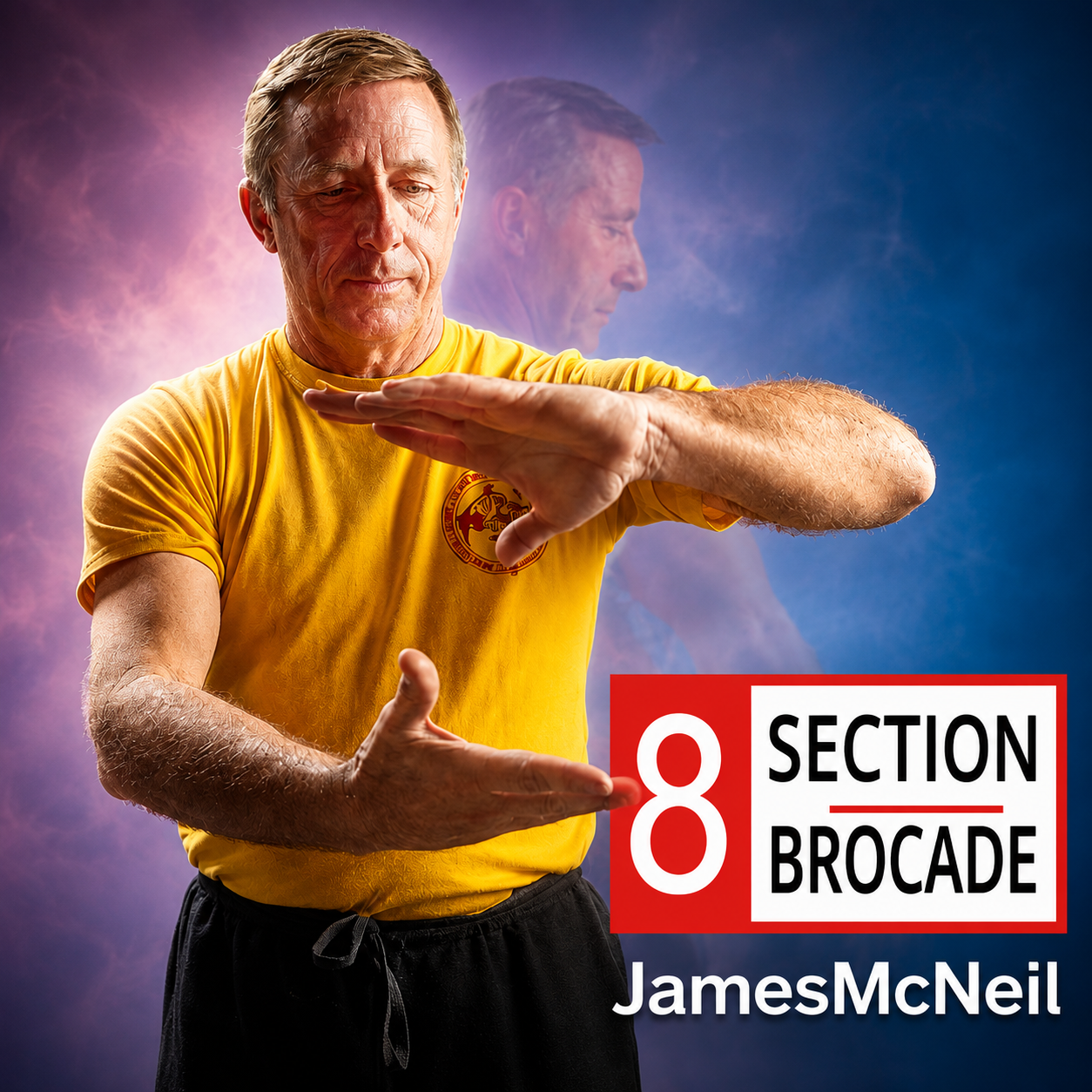 8 Section Brocade by James McNeil (On Demand)