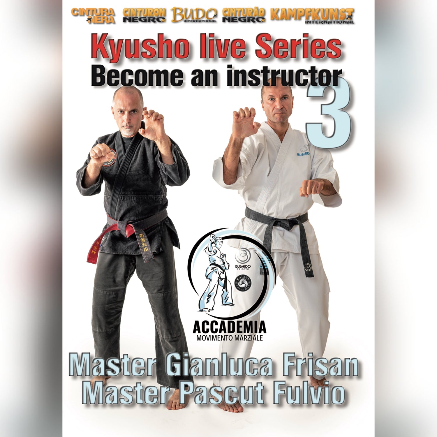 Become a Kyusho Instructor Vol 3 Gianluca Frisan (On Demand)