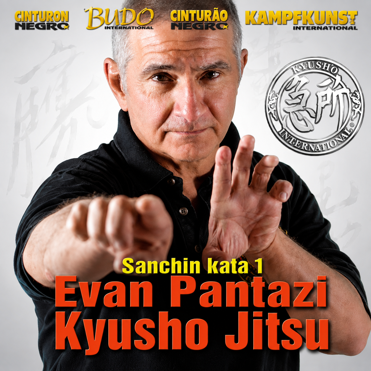 Kyusho The 6 Ji Hands by Evan Pantazi (On Demand)