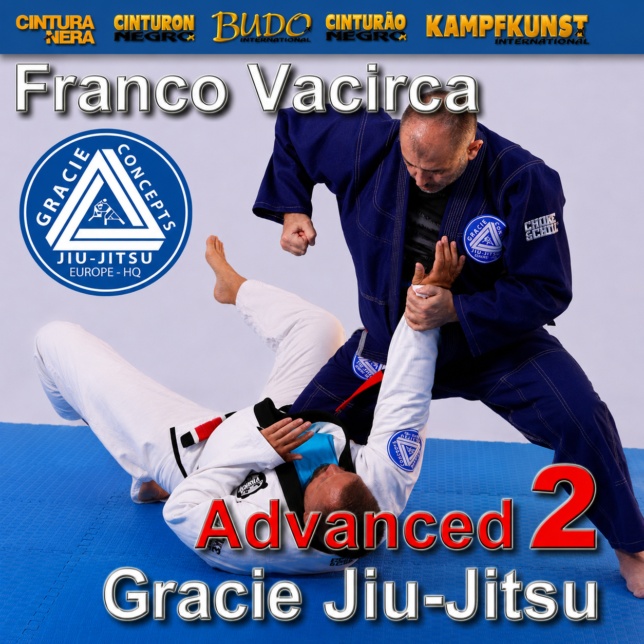 Gracie Jiu-Jitsu Advanced Vol 2 by Vacirca Bros (On Demand)