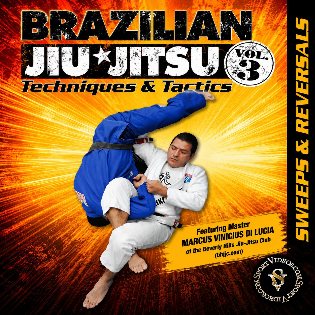Sweeps and Reversals by Marcus Vinicius Di Lucia (On Demand)