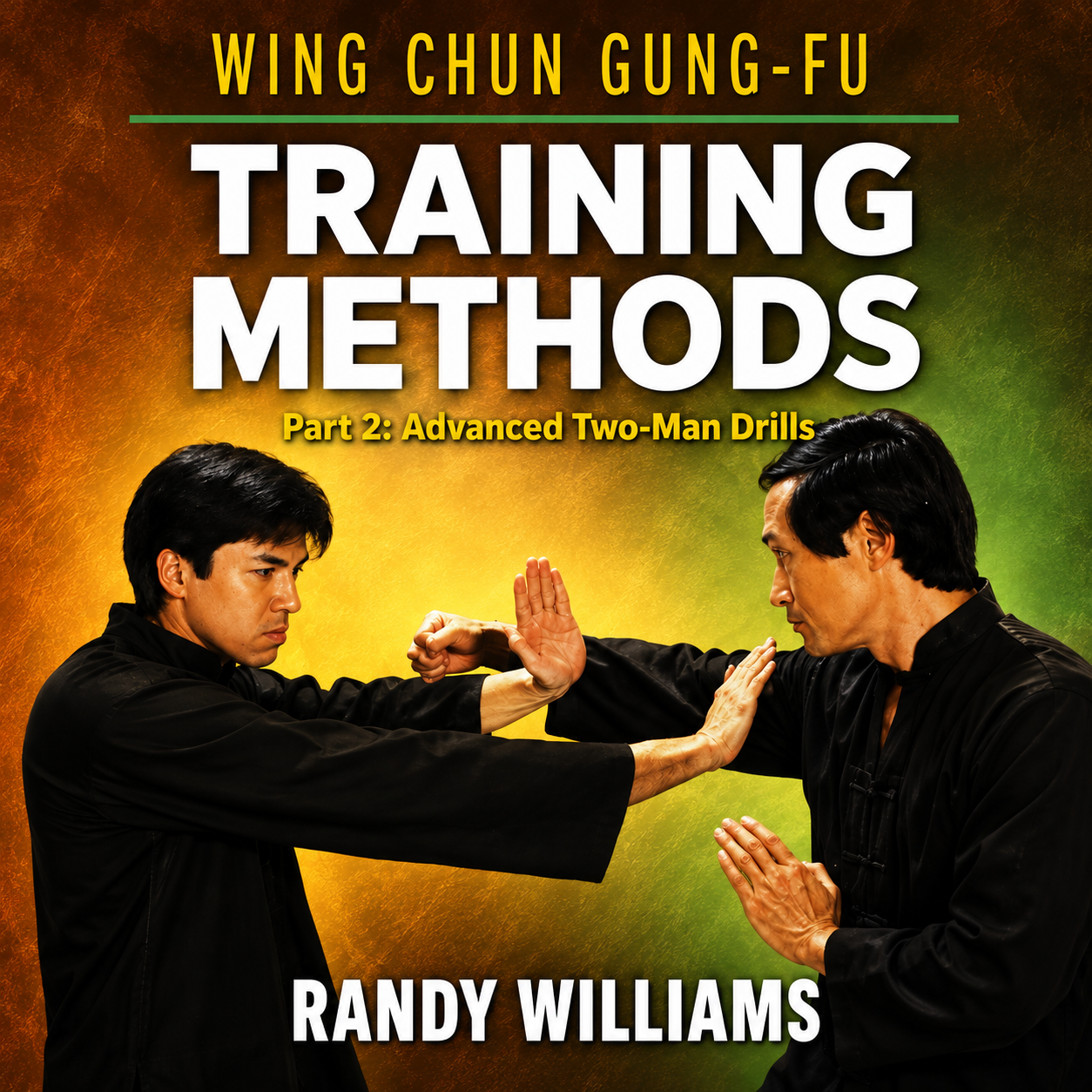 Wing Chun Training 2 Adv Two-Man by Randy Williams (On Demand)