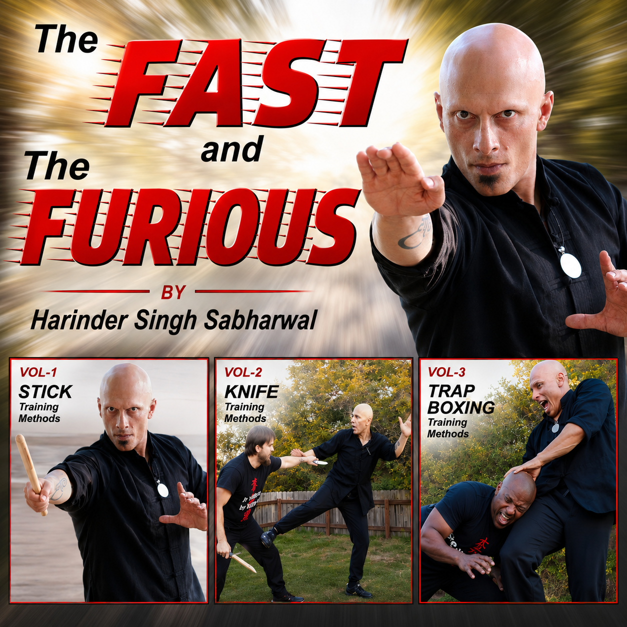 Fast & the Furious by Harinder Singh Sabharwal (On Demand)
