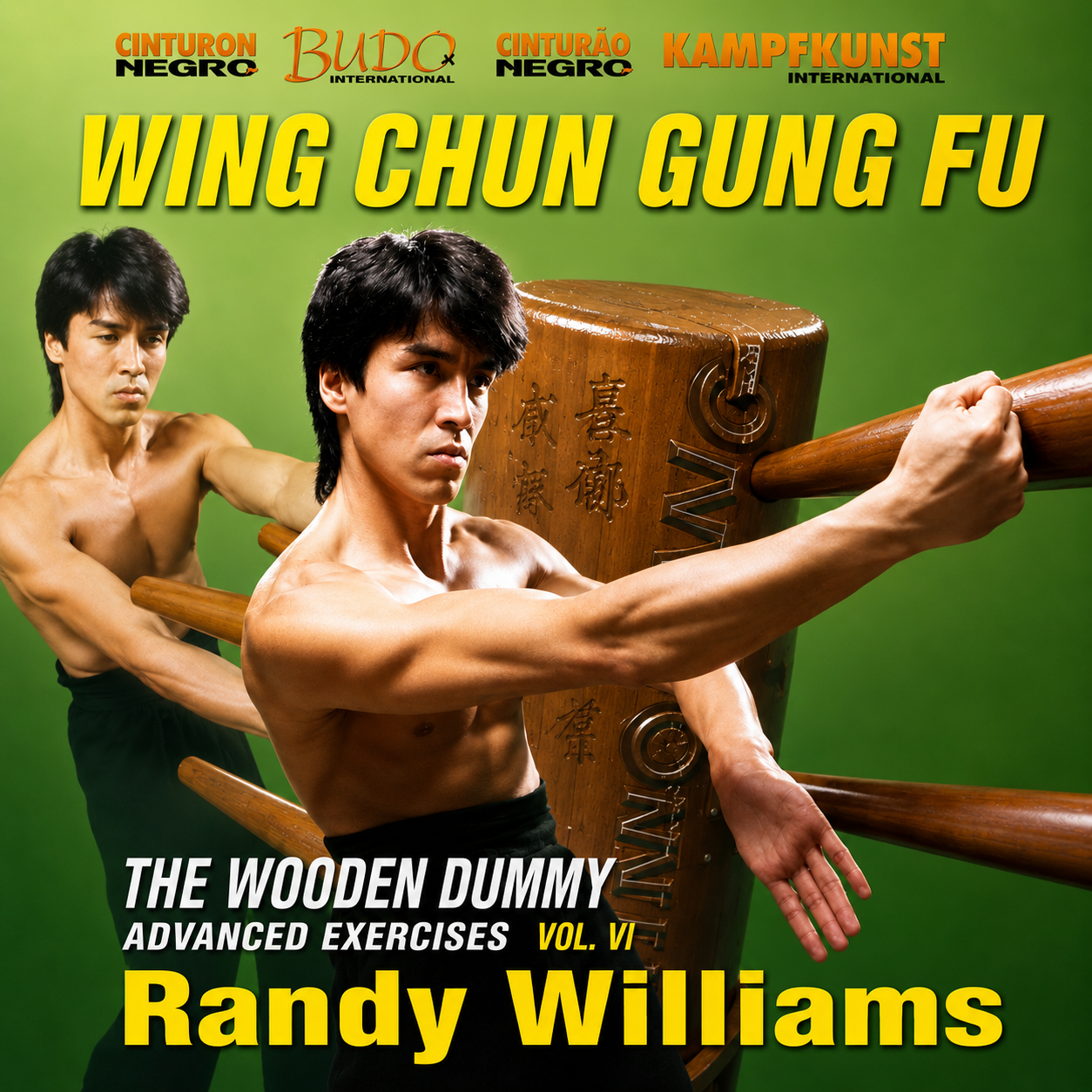Wing Chun Wooden Dummy Form Part 6 Advanced Drills (On Demand)
