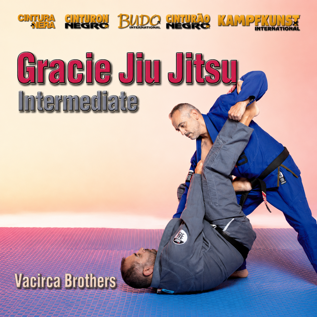 Gracie Jiu-Jitsu Intermediate by Vacirca Brothers (On Demand)