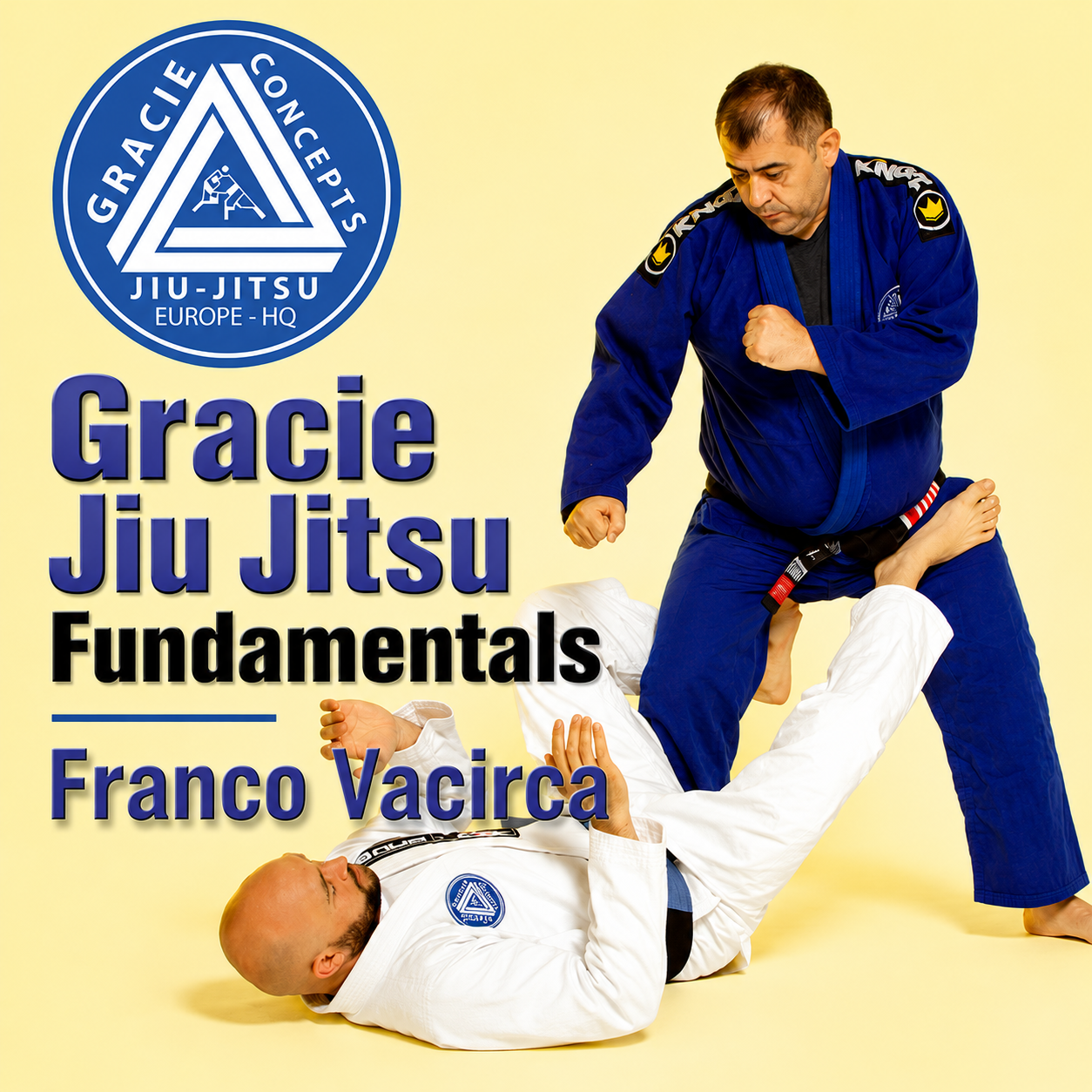 Gracie Jiu Jitsu Fundamentals Vacirca Brothers (On Demand)